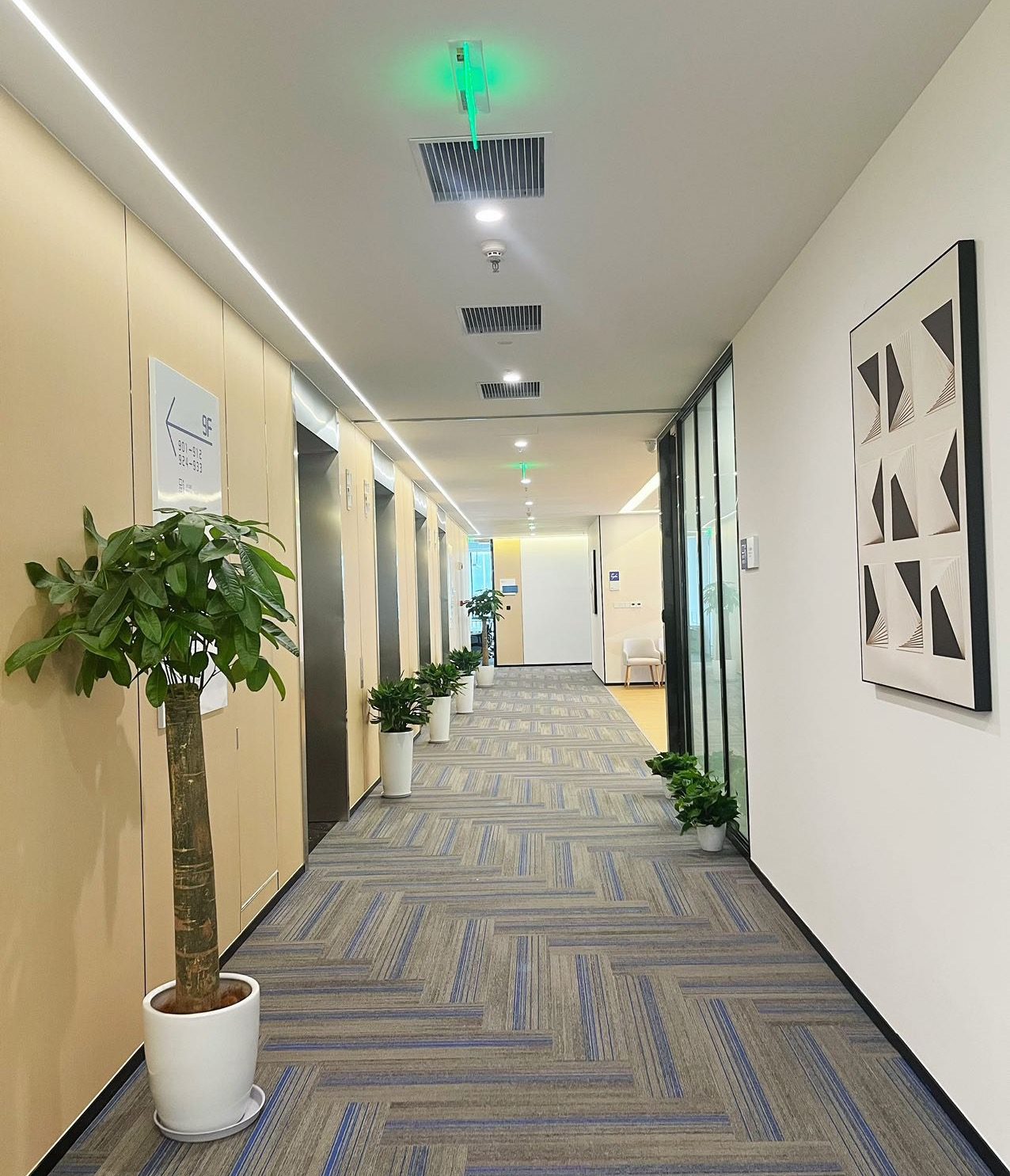 Office floor
