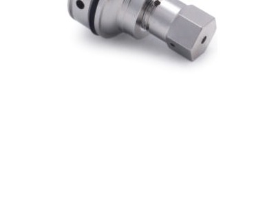 Check Valve Assembly, Eagle (049603-1)